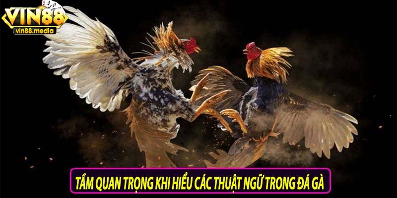 Tầm quan trọng khi hiểu các thuật ngữ trong đá gà
